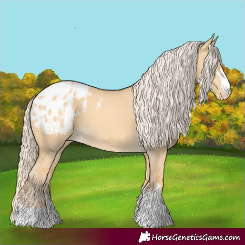 Horse Color:Gold Cream Champagne Dun Blanket 