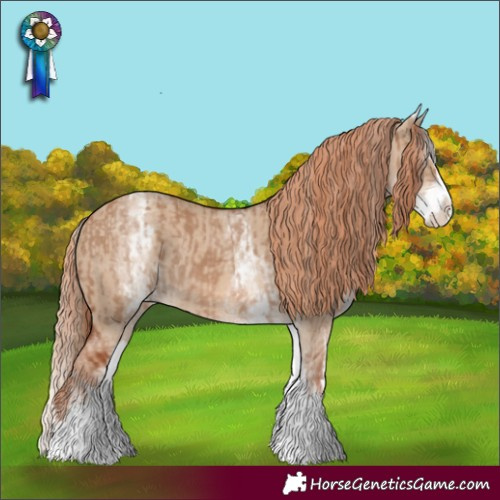Horse Color:White Spotted Red Dun Rabicano and White Spotted Red Dun Splash Rabicano