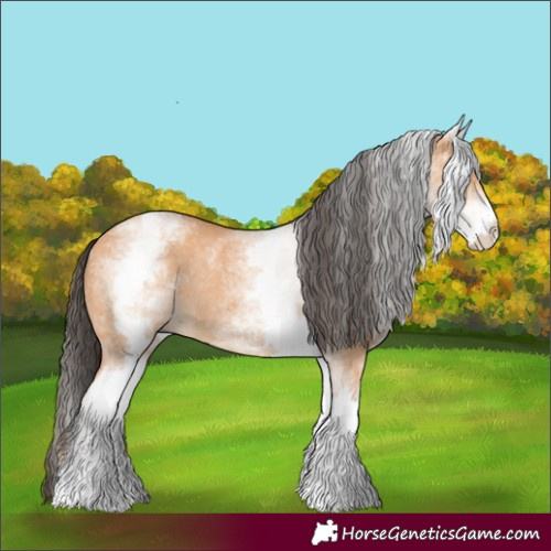 Horse Color:White Spotted Bay Dun Rabicano  and White Spotted Bay Dun Rabicano 
