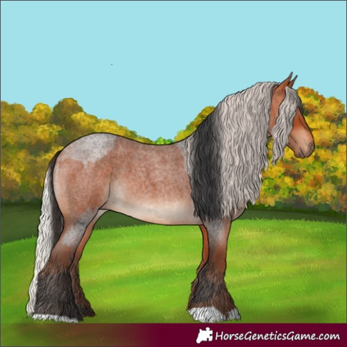 Horse Color:Bay Roan and Silver Bay Roan