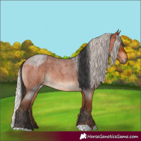 Horse Color:Bay Roan and Silver Bay Roan