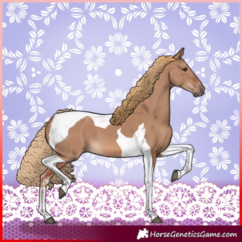 Horse Color:Red Dun Tobiano 
