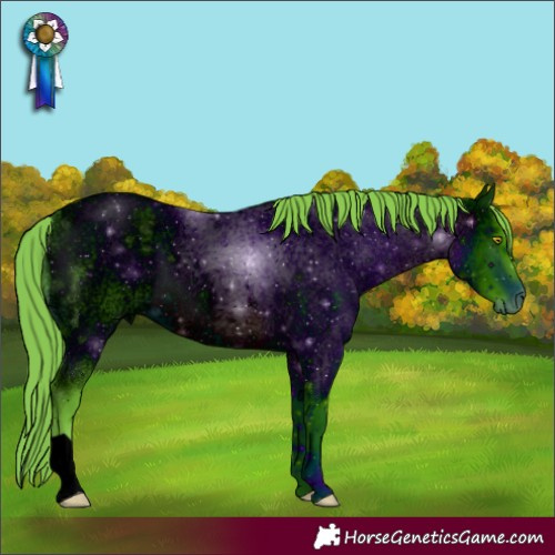 Horse Color:ERROR: UNKNOWN ANOMALY