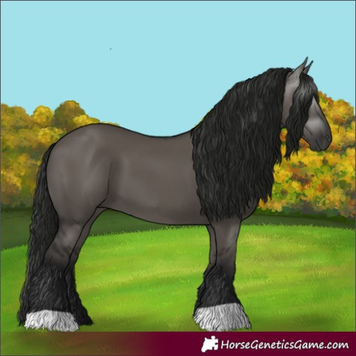 Horse Color:Gray Grullo 