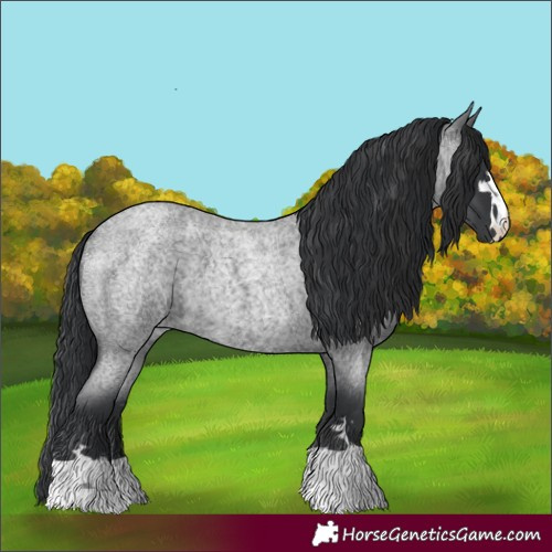 Horse Color:Blue Roan