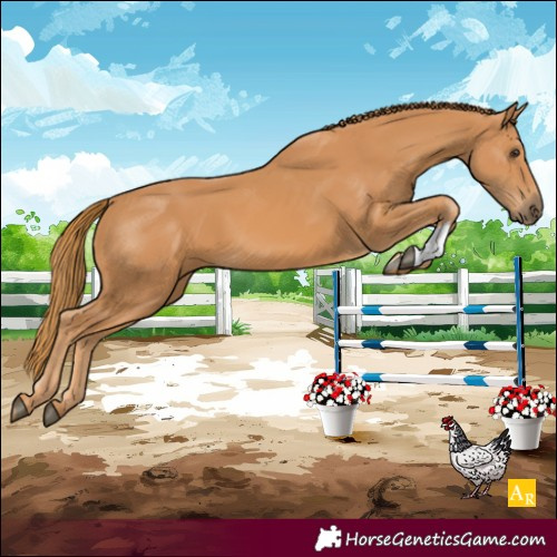 Horse Color:Unknown 