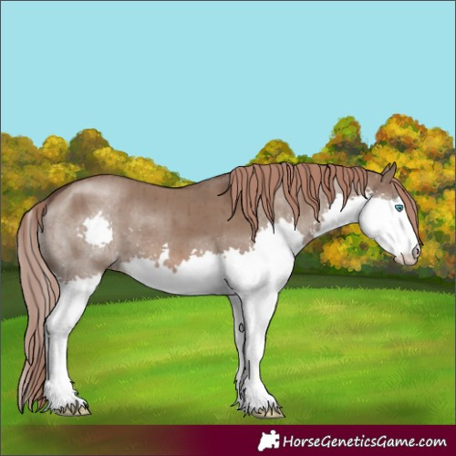 Horse Color:Liver Red Dun Splash Brindle 