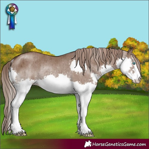 Horse Color:Liver Red Dun Splash Rabicano Brindle 