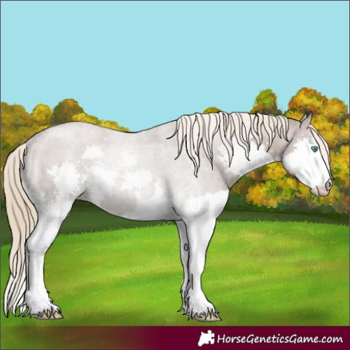 Horse Color:Liver Red Dun Splash Rabicano Brindle 