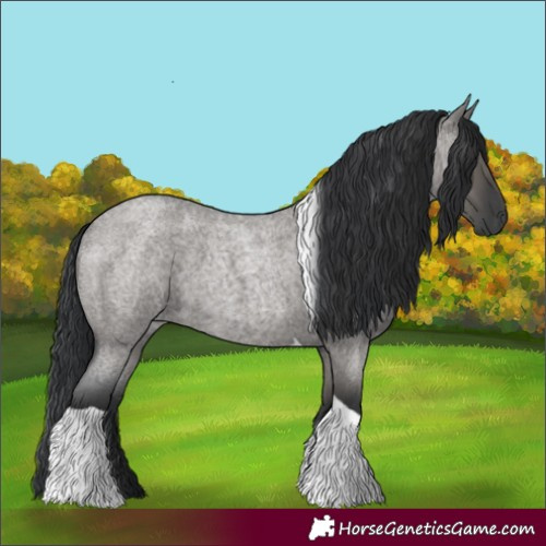 Horse Color:Grullo Roan Tobiano 