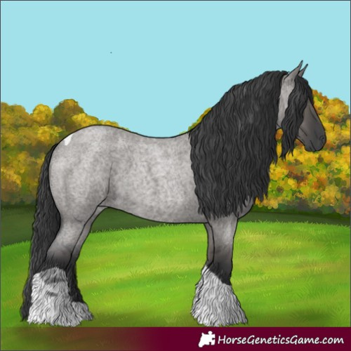 Horse Color:Grullo Roan Tobiano