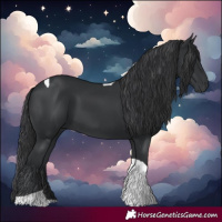 Horse Color:Black Tobiano 