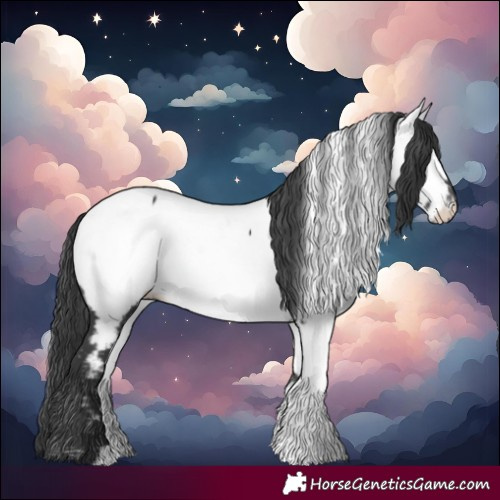 Horse Color:Black Near Fewspot