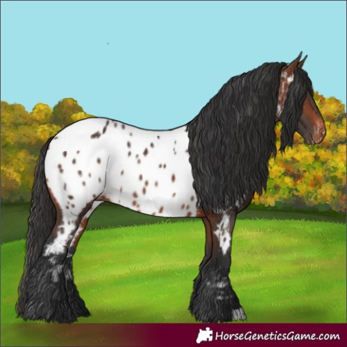 Horse Color:Brown Near Leopard 