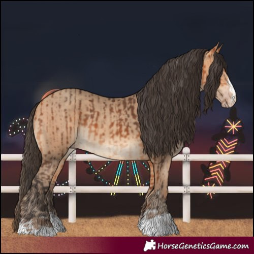 Horse Color:Bay and Amber Champagne