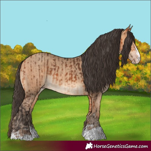 Horse Color:Bay and Amber Champagne
