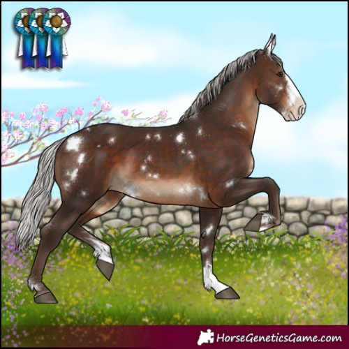 Horse Color:White Spotted Silver Brown Splash Rabicano 
