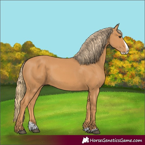 Horse Color:Chestnut Splash Frame 