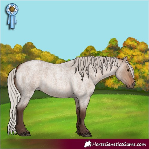 Horse Color:Silver Brown Roan Dun 