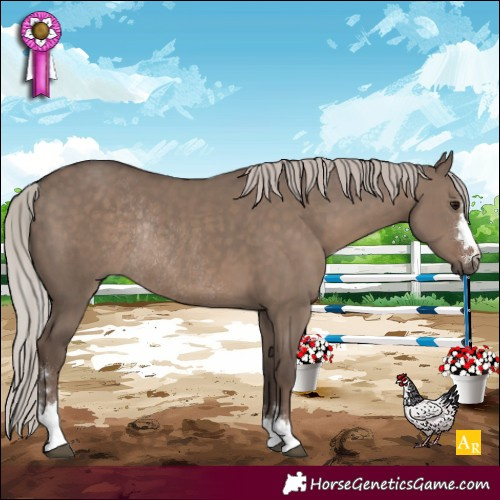 Horse Color:Silver Grullo Rabicano 