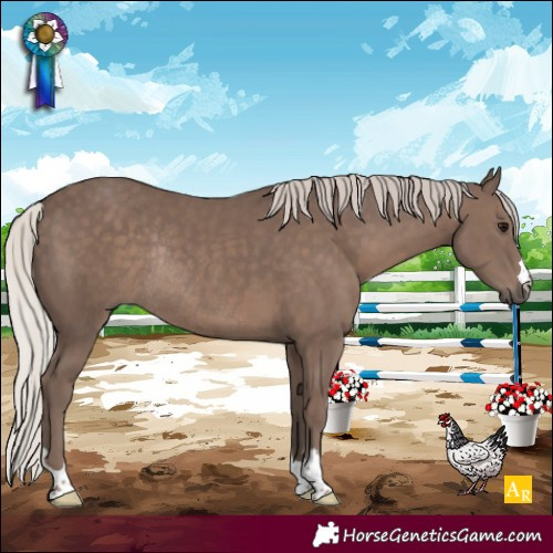 Horse Color:Silver Black Rabicano