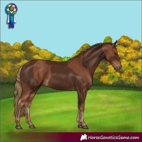 Horse Color:Chestnut and Gray Chestnut