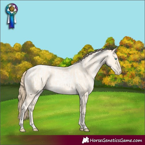 Horse Color:Buckskin Roan Pearl Rabicano and Buckskin Pearl Rabicano