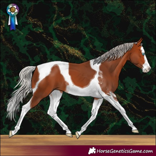 Horse Color:Silver Bay Splash Tobiano