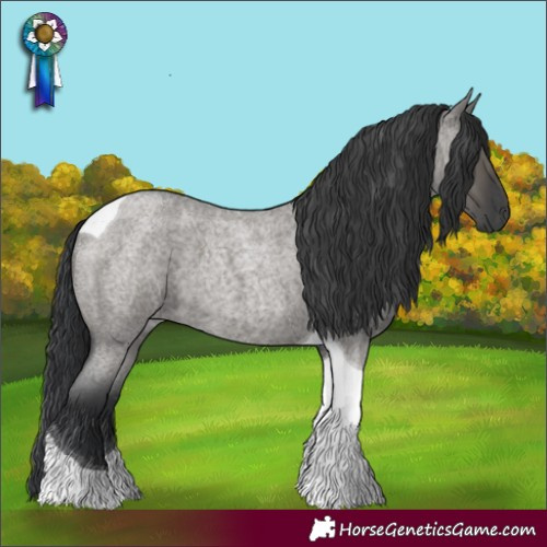 Horse Color:Grullo Roan Tobiano 