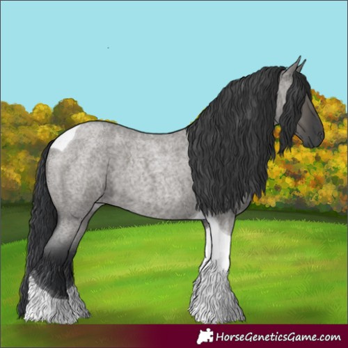 Horse Color:Grullo Roan Tobiano 