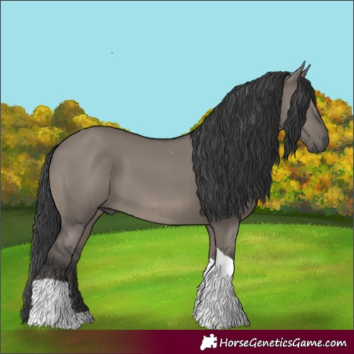 Horse Color:Grullo Tobiano