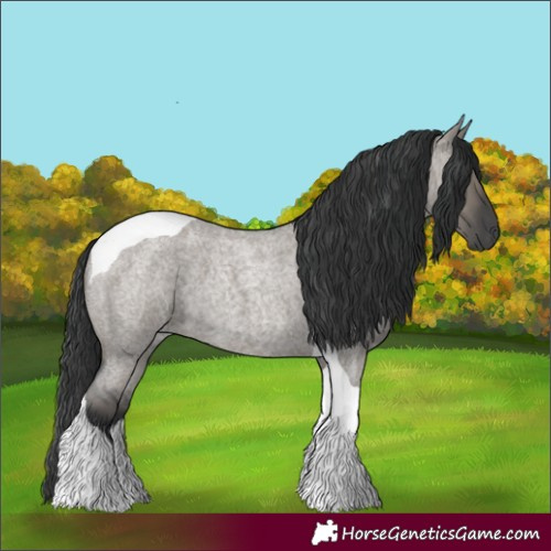 Horse Color:Grullo Roan Tobiano