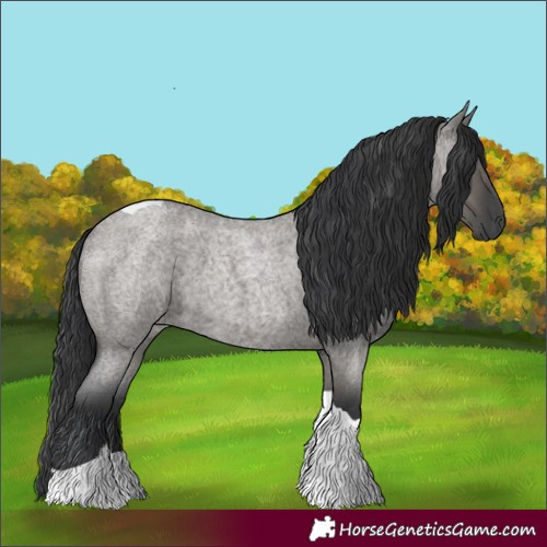 Horse Color:Grullo Roan Tobiano 
