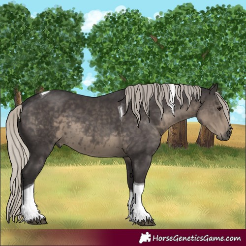 Horse Color:Silver Smoky Black Tobiano