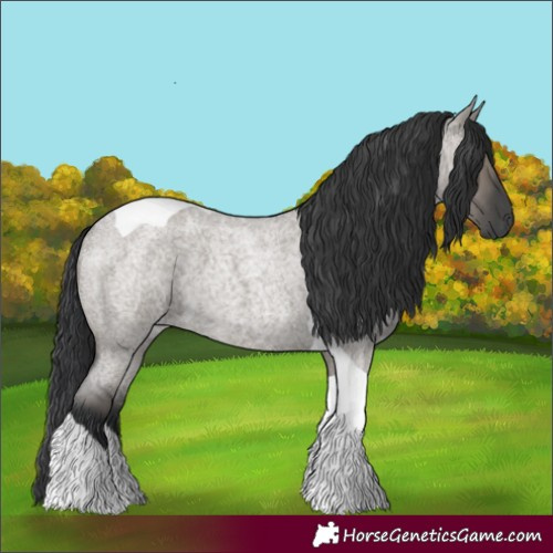 Horse Color:Grullo Roan Tobiano