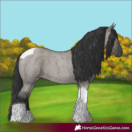 Horse Color:Grullo Roan Tobiano 
