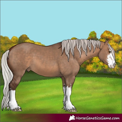 Horse Color:White Spotted Silver Brown Dun