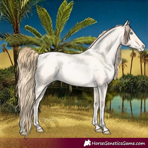Horse Color:Buckskin Roan Pearl and Buckskin Roan Pearl