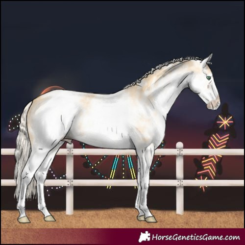 Horse Color:White Spotted Silver Classic Cream Champagne Ice Dun 