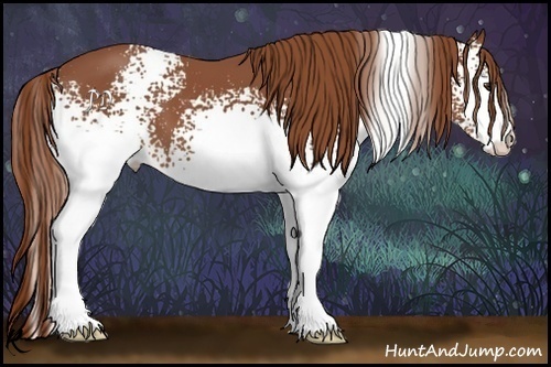 Horse Color:White Spotted Chestnut 