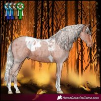 Horse Color:Silver Brown Roan Tobiano Skewed LP Spotted Rabicano