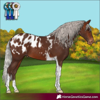 Horse Color:Silver Brown Tobiano Near Leopard