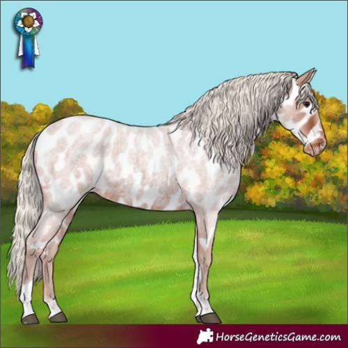Horse Color:Silver Brown Roan Tobiano Appaloosa Rabicano 