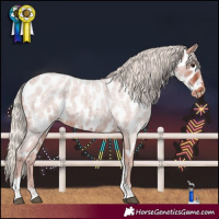 Horse Color:Silver Brown Roan Tobiano Near Leopard Rabicano 