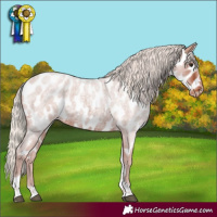 Horse Color:Silver Brown Roan Tobiano Near Leopard Rabicano 