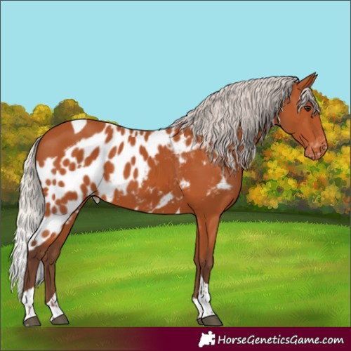 Horse Color:Silver Bay Tobiano Skewed LP Spotted