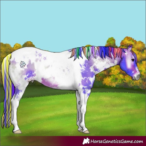 Horse Color:Painted Watercolor White Spotted Brown Onyx Tobiano 