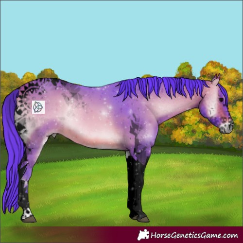 Horse Color:Void Watercolor Bay Onyx Tobiano