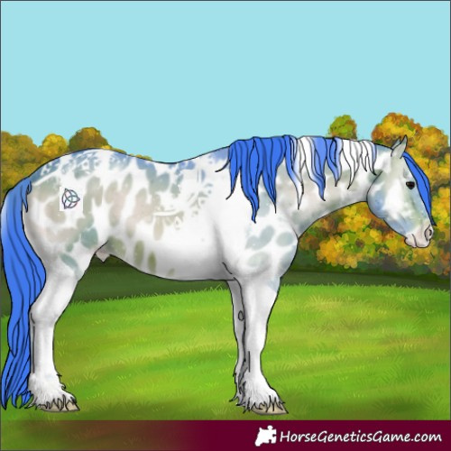Horse Color:Watercolor Brown Onyx Tobiano Appaloosa