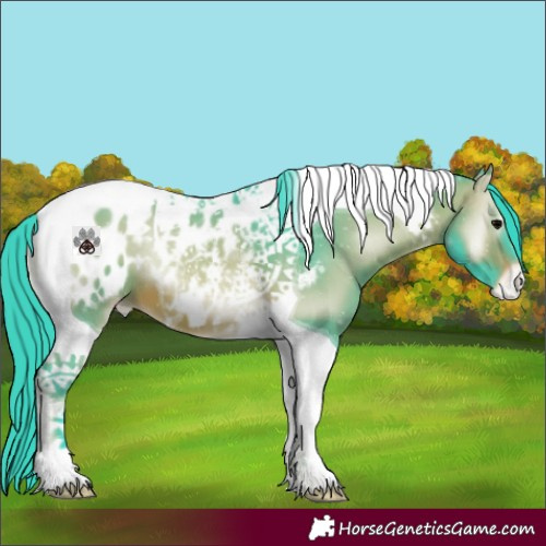 Horse Color:Watercolor Brown Onyx Tobiano Appaloosa 